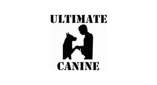 Silver | Ultimate Canine